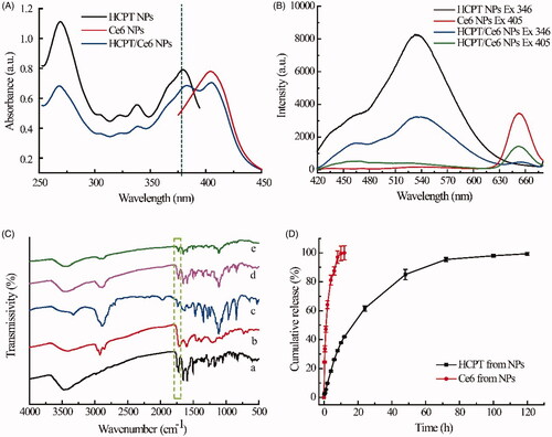 Figure 2. The UV-vis absorption spectra (A) and fluorescence spectra (B) of HCPT NPs, Ce6 NPs and HCPT/Ce6 NPs; FT-IR spectra (C) of (a) raw HCPT, (b) raw Ce6, (c) raw Chol-PEG2000, (d) physical mixture of HCPT, Ce6 and Chol-PEG2000, and (e) HCPT/Ce6 NPs; Cumulative release profiles of HCPT and Ce6 from HCPT/Ce6 NPs in 0.1 M PBS (pH 7.4) involving 1% (w/v) SDS (n = 3) (D).