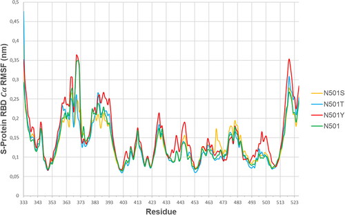 Figure 3. Mean Cα fluctuation per residue (S-protein RBD) (Gromacs gmx rmsf program).