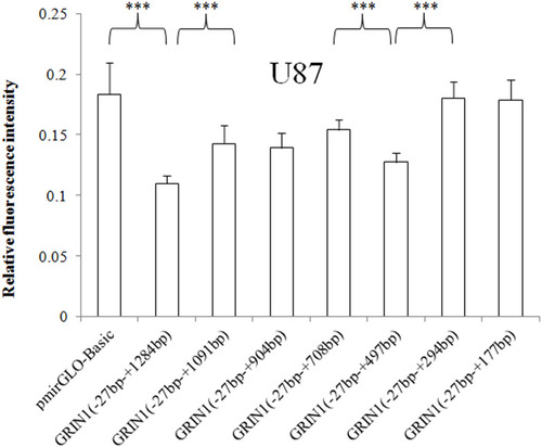 Figure 4 Relative fluorescence intensities of the pmirGLO basic vector and seven recombinant vectors with a 3ʹ end deletion in the U87 cell line. The relative intensity of the 3ʹUTR complete sequence ranging from − 27 bp to + 1284 bp was significantly decreased. The sequence +178 bp to +294 bp and +1092 bp to 1284 bp showed an inhibitory effect on protein expression in U87 cells. The relative fluorescence intensity is expressed as the mean ± standard deviation, and the difference in relative fluorescence intensity between adjacent sequences was determined by the least significant difference-t-test. ***p < 0.001.