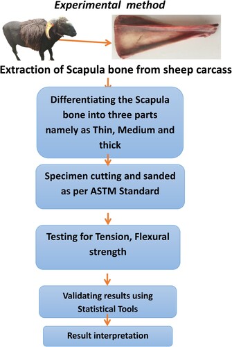 Figure 4. Experimental process methodology.