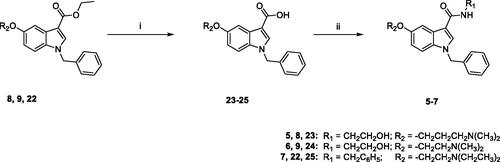 Scheme 3. Reagents and conditions: (i) MeOH/H2O, LiOH H2O, 80 °C, overnight; (ii) anhydrous DMF, TBTU, DIPEA, ethanolamine (for 5 and 6) or benzylamine (for 7), room temperature, overnight.