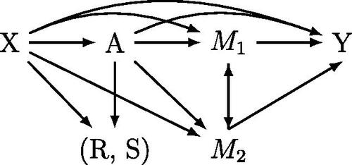 Fig. 4 Assumed causal structure.