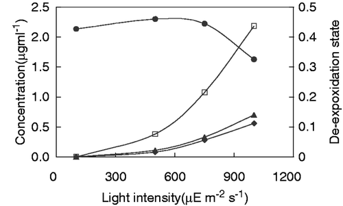 Fig. 1. De-epoxidation state of the xanthophyll cycle in Chlamydomonas reinhardtii cells after 6 h exposure to light of different intensities. The concentrations of violaxanthin (•), zeaxanthin (▴), and antheraxanthin (♦), and the de-epoxidation state (□), expressed as the ratio [(ant + zea)/(ant + zea + viol)], are shown.