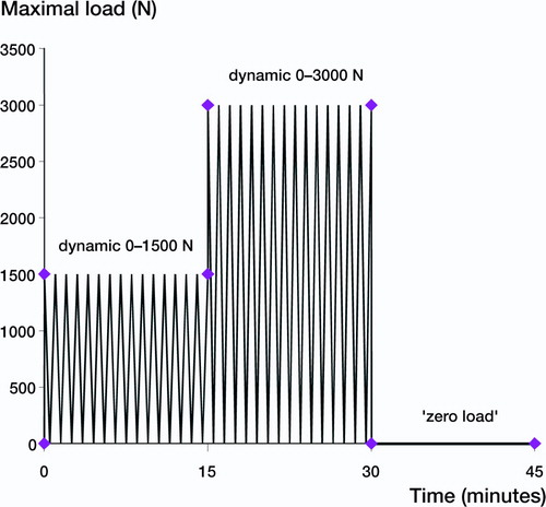 Figure 2. Loading schedule during the mechanical compression test.Three loading periods were applied of 15 min each.First a dynamic load ranging from 0 N to 1,500 N was applied.Subsequently the model was loaded with a dynamic load ranging from 0 N to 3,000 N after it remained unloaded (0 N) during the last 15 min.