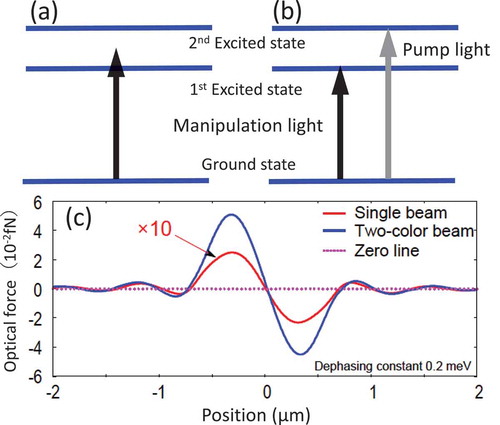 Figure 15. (a) Single laser beam creating inverted occupancy probability of the first excited state, which inverts the direction of the gradient force above the first excited state and traps particles with the inverted force. (b) Pump beam creating an inverted occupancy probability of the first excited state through the excitation of the second excited state. The manipulation beam resonant with the first excited state traps particles. (c) Calculated results of optical force for cases (a) and (b). The force is enhanced by more than one order of magnitude. See Ref [Citation74,Citation78] for the model and calculation details