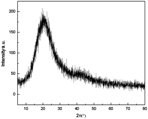 Figure 4. X-ray diffraction diagrams of the PASA polymer film.