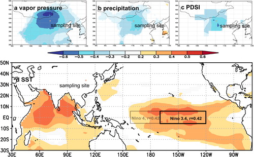 Fig. 6. Spatial correlations of the δ18OTR record with (a) the vapour pressure (CRU TS4.03) from 1950 to 2009 AD; (b) precipitation (CRU TS4.03) from 1950 to 2009 AD; (c) scPDSI (UCAR) from 1950 to 2009 AD; (d) SST (ERSST dataset) from 1854 to 2009 AD. The black and grey rectangles denote the Niño 3.4 and Niño 4 regions, respectively, and the correlation coefficients with the δ18OTR record are both indicated. The sampling site is illustrated with a red dot. All with p values < 0.1.