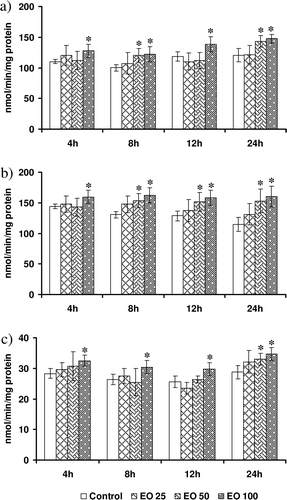 Figure 5.  Modulatory effect of Emblica officinalis on (a) glutathione peroxidase (GPX), (b) glutathione reductase (GR), and (c) glutathione S-transferase (GST) in HepG2 cells incubated for various time points (4–24h). Values are mean ± SD. Data analyzed by Holm–Sidak test, *p < 0.05. The number against E. officinalis denotes concentration in micrograms per milliliter.