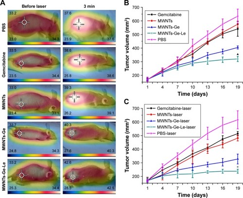 Figure 5 In vivo antitumor effect.Notes: (A) Infrared thermographic images of tumor-bearing mice after treatment with PBS, gemcitabine, MWNTs, MWNTs-Ge and MWNTs-Ge-Le followed by laser irradiation. The scale bar is different for each image. (B) Average tumor volume in a Mcf-7 tumor-bearing mice model of treatment without laser in vivo. (C) Average tumor volume in a Mcf-7 tumor-bearing mice model of treatment with laser in vivo. The relative tumor volumes were normalized to their initial size (n=4 for each group). The bars are presented as mean ± SEM (unpaired t-test, *P<0.05 compared with all the other experimental groups; ▲P<0.05 compared with PBS group, gemcitabine group, MWNTs group and MWNTs-Ge group).Abbreviations: Mcf-7, Michigan cancer foundation-7; MWNTs, multiwalled carbon nanotubes; MWNTs-Ge, multiwalled carbon nanotubes/gemcitabine; MWNTs-Ge-Le, multiwalled carbon nanotubes/gemcitabine/lentinan; NIR, near-infrared; PBS, phosphate-buffered solution; SEM, standard error of the mean.