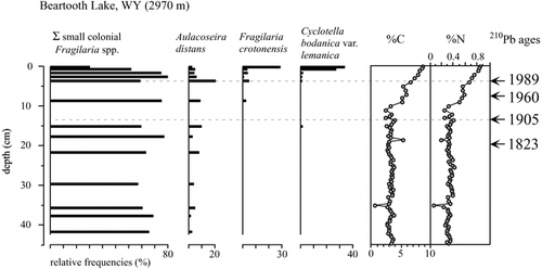 FIGURE 3. Diatom profile, %C, and %N of the sediments from Beartooth Lake, Wyoming. Small Fragilaria species (F. construens, F. construens v. venter, and F. pinnata) are grouped together, and consistently comprise >65% of the assemblages until the top 1.5 cm of the core, at which point they drop to ∼30% of the assemblage. Cyclotella bodanica v. lemanica and Fragilaria crotonensis, both present earlier in the core, each comprise 30% of the assemblages in the top 1.5 cm of the core. 210Pb dating indicates that the top 2 cm of sediment have been deposited since 1995.