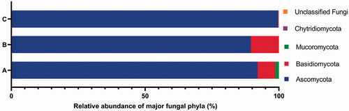 Figure 2. The percentage abundance of major phyla of fungi isolates from all 11 samples using culture-dependent approach (A), fungi isolates from 3 samples HMC, CD and DW using culture-dependent approach (B), and fungal OTUs from 3 samples HMC, CD and DW using culture-independent approach (C).