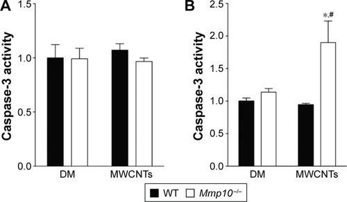 Figure 6 MWCNTs are associated with enhanced caspase-3 activity in Mmp10−/− BAL pellets but not in lung tissue.Notes: Caspase-3 activity was quantified in lysates from lung (A) or the cellular fraction of BAL at 24 h postexposure (B). Values are expressed relative to DM-treated WT mice. Data were analyzed by multiple t-test. *Significance vs DM-treated WT mice; #significance vs MWCNT-treated WT mice (P<0.05).Abbreviations: MWCNT, multiwalled carbon nanotube; BAL, bronchoalveolar lavage; DM, dispersion medium; WT, wild-type.