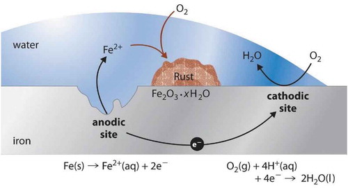 Figure 2. Corrosion process (CitationURL-2)