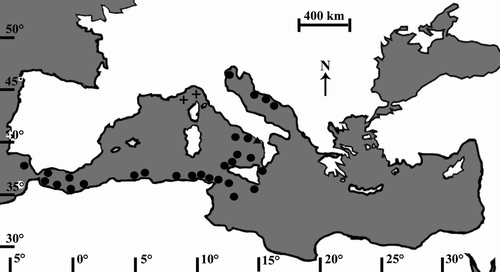 Figure 1.  Astroides calycularis. Variations of the range of the scleractinian coral within the Mediterranean Sea. (+ Pleistocene fossil records; • current confirmed distribution; ▴ site where corals were collected during this study, Palinuro).