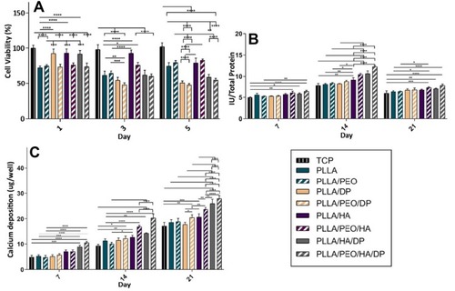 Figure 7 Evaluation of in vitro cell cytotoxicity by (A) MTT assay, (B) ALP activity and (C) Ca deposition. Results were expressed as a mean ± SD.Notes: *P < 0.05, **P < 0.01, ***P < 0.001 and ****P < 0.0001.