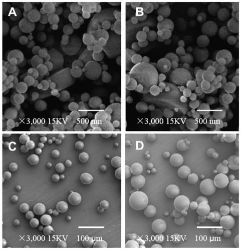 Figure 2 (A–D) Scanning electron micrographs of different samples. (A) Dextran nanoparticles; (B) dextran nanoparticles recovered from the prepared dextran nanoparticle–loaded microspheres using S/O/O/W; (C) control microspheres (prepared microspheres using W/O/W); (D) prepared dextran nanoparticle–loaded microspheres using S/O/O/W.Abbreviations: S/O/O/W, solid-in-oil-in-oil-in-water; W/O/W, water-in-oil-in-water.