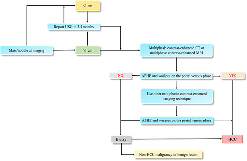 Figure 2 Algorithm for HCC diagnosis.