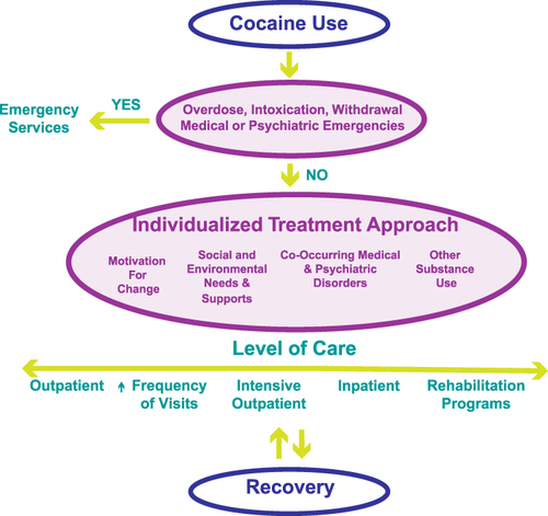 Figure 1 CUD: A Comprehensive Treatment Approach: After ruling out the need for acute medical or psychiatric care, a dynamic comprehensive treatment plan should be formulated for each patient based on an ongoing assessment of several critical domains. This assessment can also help to determine the appropriate level of care which may be lower or higher, depending on several different factors (such as the presence or severity of co-occurring disorders or co-occurring substance use, presence of immediate stressors, or different levels of social support).