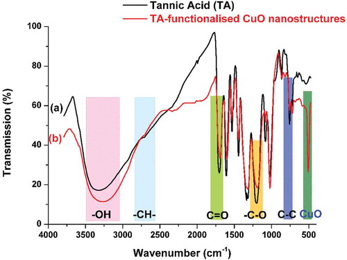Figure 2. FTIR spectrum of A: Pure tannic acid and B: tannic acid functionalized CuO nanostructures.