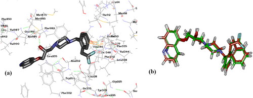 Figure 9. (a) 3 D diagram showing the binding interactions of reference compound zosuquidar (2) at ABCB1 active site, (b) Alignment of the original pdb pose of zosuquidar (Green) and the docked pose for RMSD value calculation.