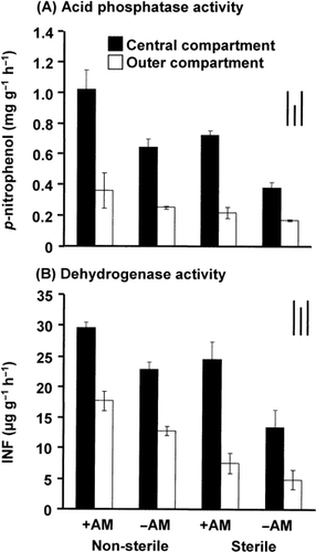 Figure 5  (A) Acid phosphatase and (B) dehydrogenase activity in the soil collected from different compartments of the rhizobag planted with sunflower. Bars on the top right indicate the least significant differences (LSD) for comparison between treatments (left), between compartments (middle) and between any pair of data (right) at P < 0.05. +AM, plus arbuscular mycorrhizal fungus inoculation; –AM, without arbuscular mycorrhizal fungus inoculation; INF, iodonitrotetrazolium formazan.