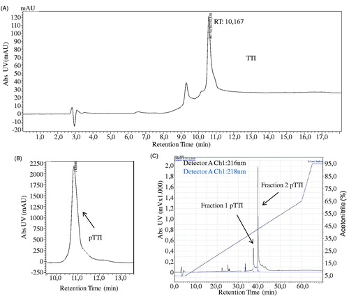 Figure 1. Chromatographic profile of TTI, pTTI, and its fractions in reversed-phase high-efficiency liquid chromatography. (A) Chromatographic profile of the partially purified inhibitor (TTI) in analytical C18 column. (B) Chromatographic profile of pTTI in preparative C18 column. (C) Chromatographic profile of fractions 1 and 2 by method refinement of pTTI in analytical C18 Vydac column. TTI: Trypsin inhibitor partially purified from tamarind seeds. pTTI: purified tamarind trypsin inhibitor from T. indica L.