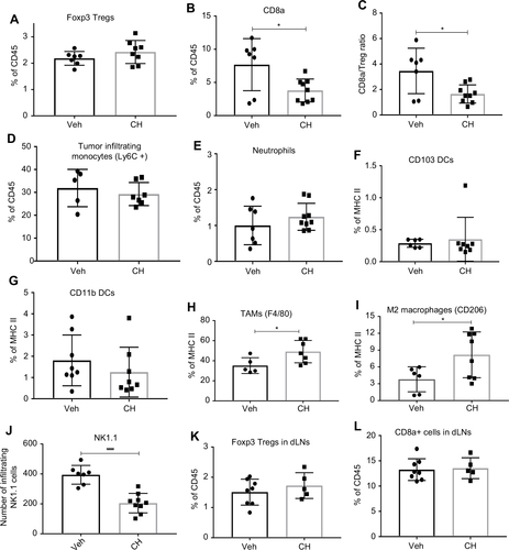 Figure 5 FACS analysis of tumor microenvironment. Increase in MC38 tumor burden in CH223191 (CH)-treated mice when compared to the DMSO vehicle (Veh)-treated wild-type mice resulted in (A) no change in Foxp3+ Treg cells; (B) reduced CD8a +T cell infiltration; (C) reduced CD8a/Treg ratio; (D) no change in Ly6C+ monocyte infiltration; (E) no change in neutrophil infiltration; (F) and (G) no change in CD103+ and CD11b+ dendritic cells (DC); (H) increased F4/80+ TAMs (I) increased CD206 + M2 macrophages; (J) decreased NK cells; (K) and (L) no change in number of Foxp3+ Treg and CD8a+ T cells in draining lymph nodes (dLNs). These data are a representative of 4 experiments. Error bars represent means±SD, n=5–8; *p<0.05; ****p<0.0001.Abbreviations: Treg, T regulatory cells; CH, CH223191; DC, dendritic cells; NK, natural killer cells.