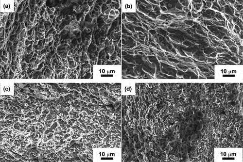 Figure 11. SEM micrographs of the tensile fracture surface showing different types of failure.