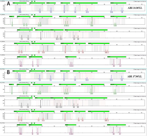 Figure 11. Reproducibility of the Canine 25 A kit on different capillary electrophoresis platforms: ABI 3130XL (A) and ABI 3730XL (B).