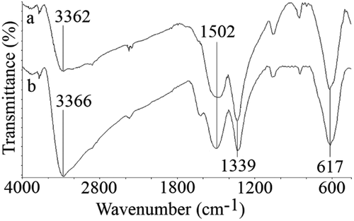 Figure 3. FTIR spectra of the uncontrolled (a) and controlled (b) synthesized FeOOH nanoparticles.