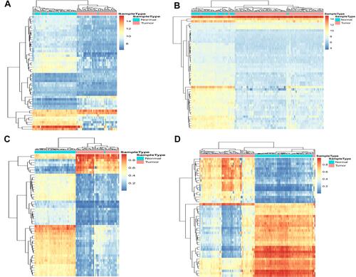 Figure 3 Clustered heat map of the top 50 differentially expressed genes (DEGs) and differentially methylated genes (DMGs). Red: upregulated genes; Blue: downregulated genes. (A and B) The heat map of top 50 DEGs in GSE57959 and GSE76427; (C and D) The heat map of top 50 DMGs in GSE89852 and GSE54503.