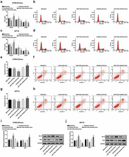 Figure 5. Elevated exosome-derived miR-133b from hUC-MSCs contributes to cell cycle progression and limits apoptosis of HTR8-S/Vneo and HPT-8 cells. a. Quantitative results of HTR8-S/Vneo cell cycle in each group; b. Detection of HTR8-S/Vneo cell cycle by flow cytometry; c. Quantitative results of HPT-8 cell cycle in each group; d. Detection of HPT-8 cell cycle by flow cytometry; e. Quantitative results of HTR8-S/Vneo cell apoptosis in each group; f. Detection of HTR8-S/Vneo cell apoptosis in each group by flow cytometry; g. Quantitative results of HPT-8 cell apoptosis in each group; h. Detection of HPT-8 cell apoptosis in each group by flow cytometry; i. Detection of Bcl-2 and Bax protein expression of HTR8-S/Vneo cells in each group by Western blot analysis; j. Detection of Bcl-2 and Bax protein expression of HPT-8 cells in each group by Western blot analysis; *, P < 0.05 vs the mimics-NC-Exo group; #, P < 0.05 vs the inhibitors-NC-Exo group; the data in the figure were all measurement data expressed as mean ± standard deviation; comparison among multiple groups was analyzed by one-way ANOVA, after which pairwise comparison was performed with Tukey’s multiple comparisons test.