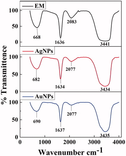 Figure 3. FTIR analysis of cell-free supernatant of X. stockae KT835471 and synthesized NPs.