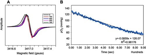 Figure 4 Cell oxygen consumption. (A) EPR spectra of cells treated with trityl-loaded FMSN-PEG-TAG72 at various time points. (B) The peak-to-peak line width of EPR spectra was converted to pO2 (mmHg) and plotted with time. Dwell time per scan is 5.12 s.