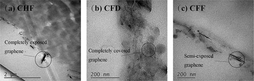 Figure 6. TEM of cashmere fiber surface after different SC process.