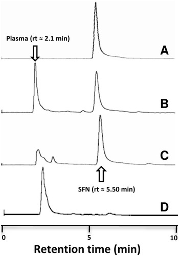 Figure 8 HPLC chromatogram of (A) SFN, (B) SFN in blank plasma, (C) plasma samples collected after the CNTs-SFN-MCs administration, and (D) the blank plasma.
