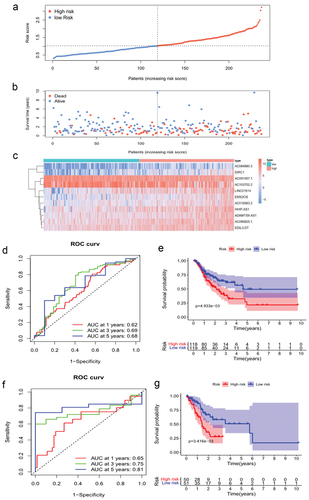 Figure 2. Validation of the predictive performance of the STAD prognostic model based on anoikis-related lncRNAs.
