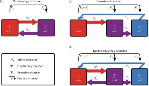 Fig. 1 Three-box model configurations. (a) Overturning (negative estuarine) circulation with volume transport ΨO, identical to the configuration of Stommel (Citation1961), (Section 2.1); F 2 indicates the freshwater input into basin 2. (b) Estuarine circulation with volume transport ΨE, identical to the configuration of Rooth (Citation1982), (Section 2.2). F 2 and F 3 indicate the freshwater input into the double estuary (basins 2 and 3). (c) Double estuarine circulation combining an overturning and estuarine branch (Section 3). The inflow transport ΨI into the double estuary is the sum of the overturning and estuarine transports. Arrows depict positive transports by convention.