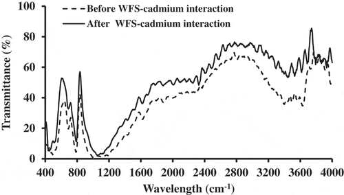 Figure 4. FTIR spectra of WFS before and after interaction with aqueous solution of cadmium.