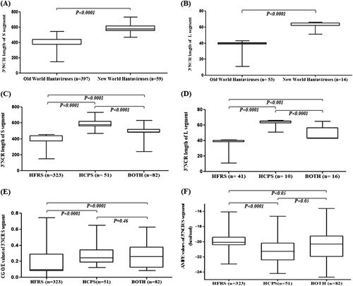 Fig. 1 Differences in the 3´ NCR lenghts, CpG content and adjusted minimum free energy (AMFE) values among hantaviruses. Box plots showing the distribution of 3′ NCR length among the Old World Hantaviruses and New World Hantaviruses in" and please revise this figure legend as follows:Box plots showing the distribution of 3′ NCR length among the Old World Hantaviruses and New World Hantaviruses in (a) the S- segment and (b) the L- segment. Box plots showing the distribution of 3′ NCR length of (c) the S- segment and (d) the L- segment among hantaviruses causing HCPS, HFRS, or both. Box plots showing the distribution of (e)CpGO/E values and (f) adjusted minimum free energy (AMFE) values for the 3′ NCR of the S- segment. "?>Box plots showing the distribution of 3′ NCR length among the Old World Hantaviruses and New World Hantaviruses in a the S-segment and b the L-segment. Box plots showing the distribution of 3′ NCR length of c the S-segment and d the L-segment among hantaviruses causing HCPS, HFRS, or both. Box plots showing the distribution of e CpGO/E values and f adjusted minimum free energy (AMFE) values for the 3′ NCR of the S-segment