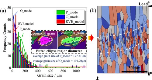 Figure 6. (a) The grain size distribution of P_mode, O_mode samples and the RVE model; (b) the 2D representative volume element model with applied periodic boundary conditions.