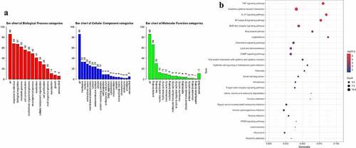 Figure 3. Analyze the GO and KEGG pathway enrichment of 86 DEGs. (a) Bar chart showed results of Biological process (red), Cellular component (blue), and Molecular function (green). (b) Bubble diagram showed the KEGG pathways enrichment results. The size of the dot represents count, and color represents -log10 adjusted p value.