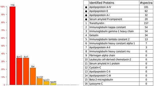 Figure 2. LMD/MS analysis of abdominal fat pad biopsy specimen. The amyloid deposits demonstrated the highest relative abundance for TTR. LMD, laser microdissection ;MS, mass spectrometry; TTR, transthyretin; Igκ C, Immunoglobulin kappa constant ; Igγ1, immunoglobulin gamma-1 heavy chain; Gel, gelsolin; Ig λ C2, immunoglobulin lambda constant 2; Igα C1,immunoglobulin alpha constant 1; Apo, apolipoprotein.
