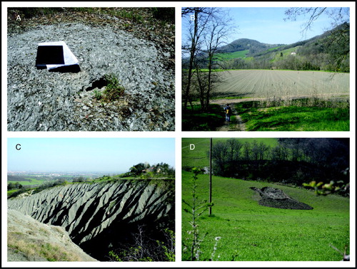 Figure 3. Some of the typical morphologies of the study area: (A) Gypsum tumulus, on the border of the Gaibola dolina (fieldbook is 15 cm wide); (B) The large river terrace of IVth order; (C) Badlands of Rio Calvane; (D). Small active mudflow.