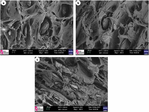 Figure 8. SEM images of composites. a) PP- 7GWN; b) PP- 14GWN; c) PP- 21GWN.