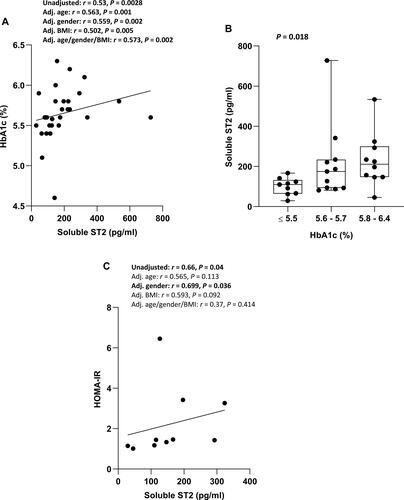 Figure 1 Correlation between sST2 and HbA1c and HOMA-IR in individuals with glycemia in the normal/prediabetes range. (A) sST2 was directly correlated with HbA1c in individuals with glycemia in the normal/prediabetes range. (B) There was an increase in sST2 with increasing HbA1c in individuals with glycemia in normal/prediabetes range. (C) sST2 was directly correlated with HOMA-IR in individuals with glycemia in the normal/prediabetes range.Abbreviations: sST2, soluble suppression of tumorigenicity 2; HbA1c, glycated hemoglobin; HOMA-IR, homeostatic model assessment of insulin resistance; BMI, body mass index; Adj., Adjusted.