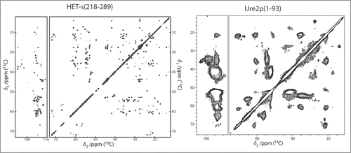 Figure 3 DARR spectra (100 ms and 20 ms mixing, respectively) of the prion domains of HET-s and Ure2p reveal the considerably higher order encountered in HET-s(218-289) if compared to Ure2p(1-93) which represents itself in a narrow linewidth (see main text) HET-s spectrum adapted from,Citation24,Citation31 Ure2p adapted from.Citation6