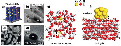 Figure 4. a) 3D representation of crystalline-TiO2/Au/amorphous-TiO2 photoelectrodes. b), c), and d) represent the low-magnification TEM, SEM and HRTEM images of TiO2/Au/a-TiO2, respectively. a), b), c), and d) are adapted with permission from the references [Citation118], Copyright 2018 Wiley-VCH. e) and f) represent the models mimicking the part of the crystalline-TiO2/Au/amorphous-TiO2 photoelectrode. Amorphous TiO2 is prepared by melting and quenching technique [Citation115] and Au metal is represented e) as ions atomically dispersed on amorphous supports, or f) as metal clusters interacting with amorphous TiO2 supports. The dotted box represents the core C/A interface area