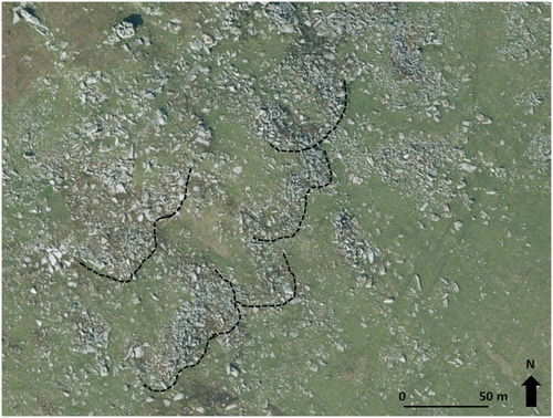 Figure 4. Aerial photograph extract (Copyright Ordnance Survey) of an example of boulder-fronted lobes immediately below the summit of Little Rough Tor. Note that lobes have clear risers (examples outlined by dashed black lines) and treads and lack vegetation cover due to the large sizes and numbers of blocks between which regolith has not developed or accumulated. Tor stumps are visible to top of image and downslope direction is towards bottom right. Note the size and number of the blocks compared to those in Figure 5.