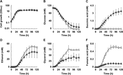 Fig. 2. Succinic acid production in ADH1–5-disrupted strain S149 and its SDH1- and SDH2-disrupted strain S149sdh12.Note: (A) Cell growth, (B) glucose concentration, (C) succinic acid concentration, (D) ethanol concentration, (E) glycerol concentration, and (F) fumaric acid concentration in the S149 (hollow triangles) and S149sdh12 (solid triangles) strains are shown. Average ± standard deviation for three independent culture experiments is shown.